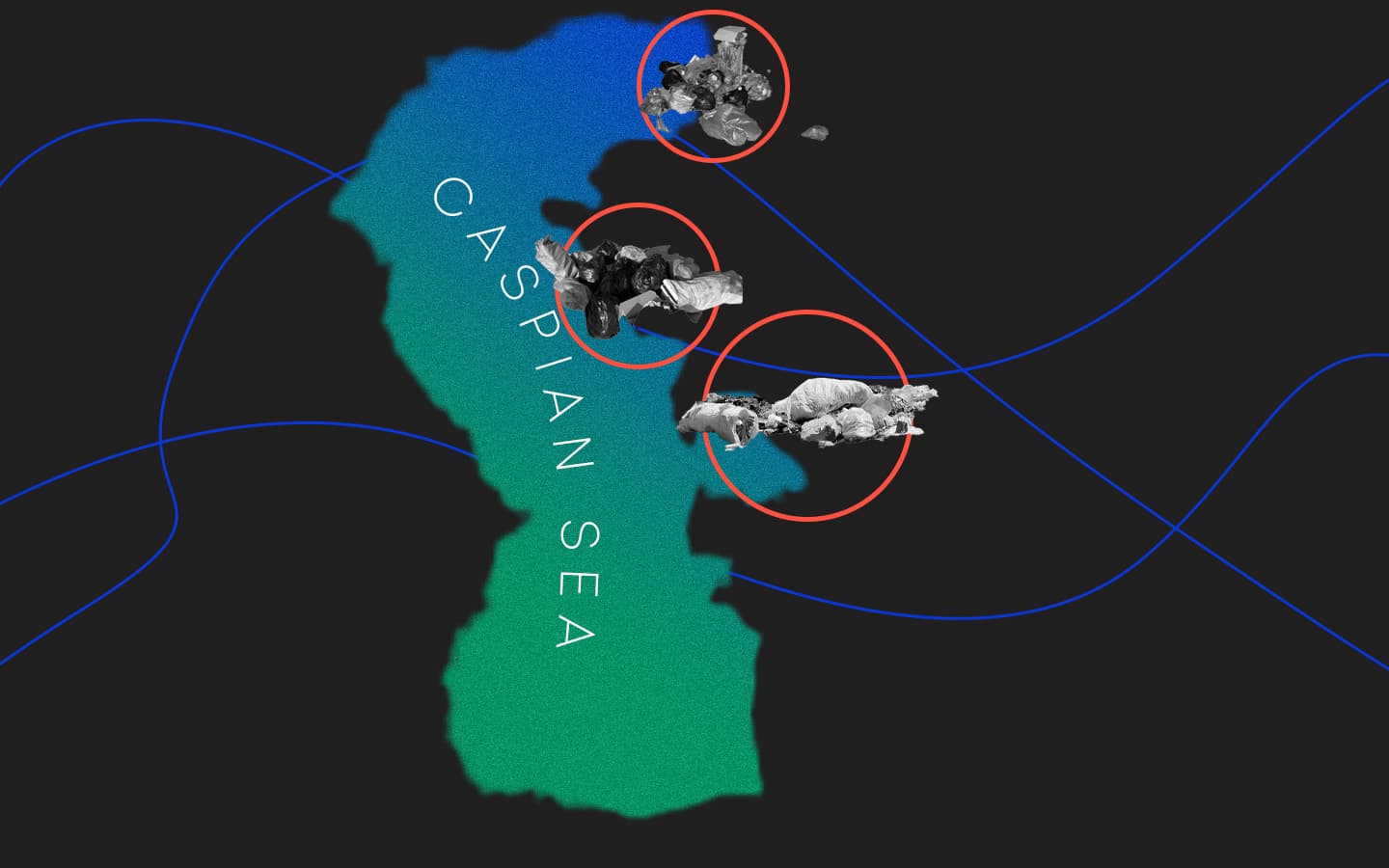 Личная история: как я начала спасать Каспийское море