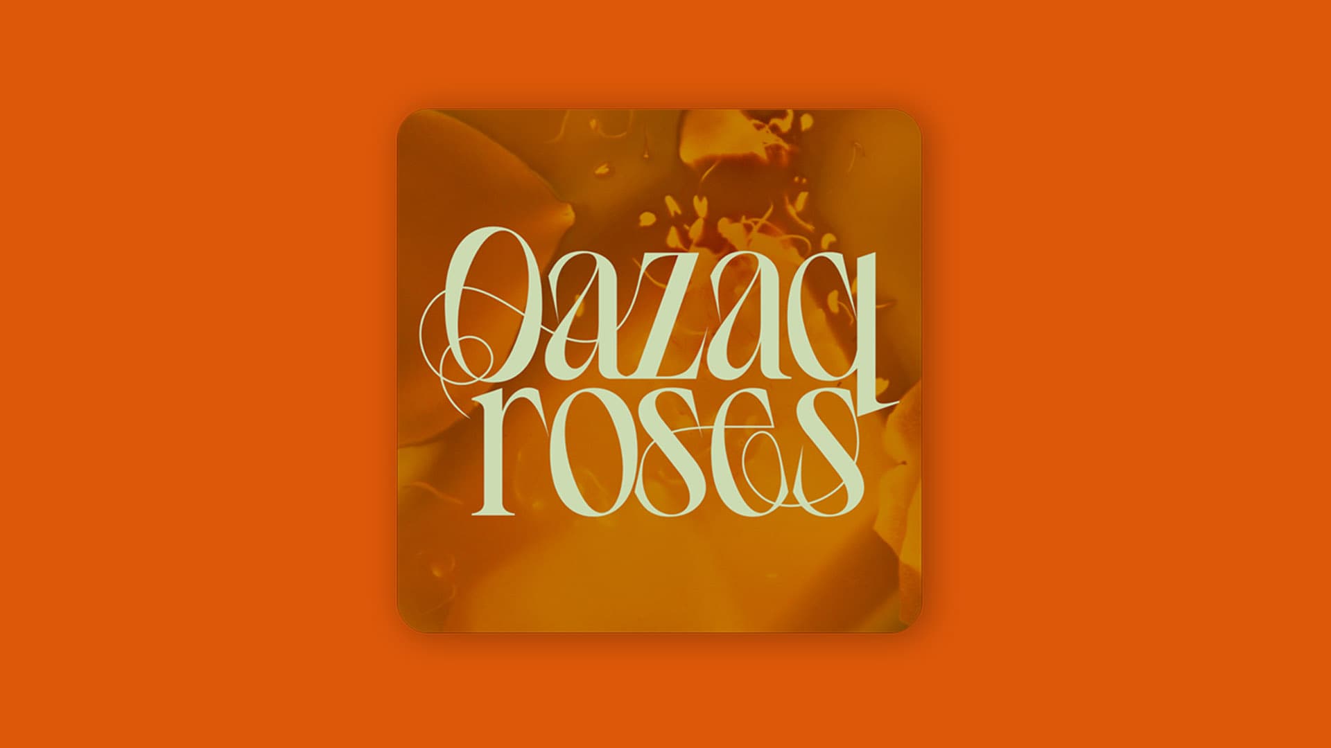 Qazaq Roses – больше, чем подкаст о женщинах в искусстве Казахстана