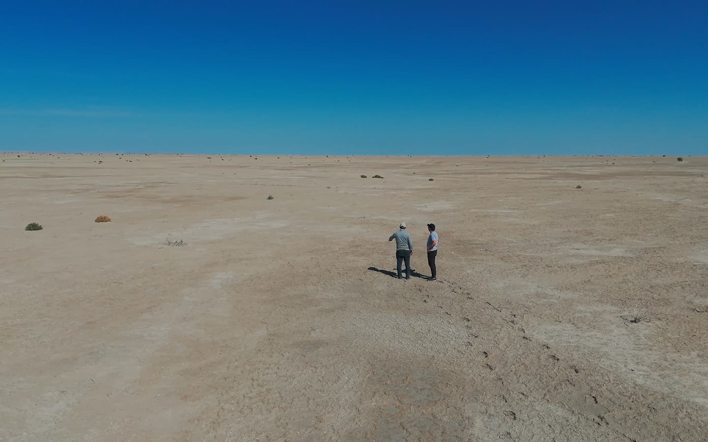 Как озеленить дно Аральского моря? В Казахстане запускается экологический проект мирового значения