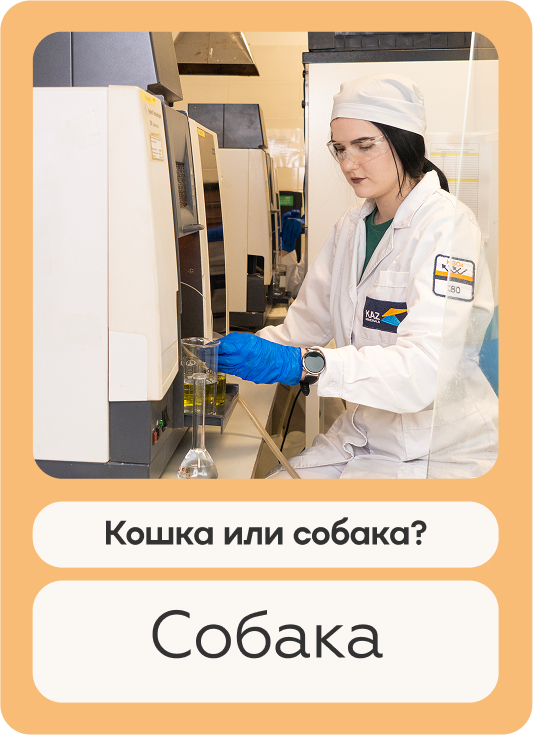 Alt атрибут