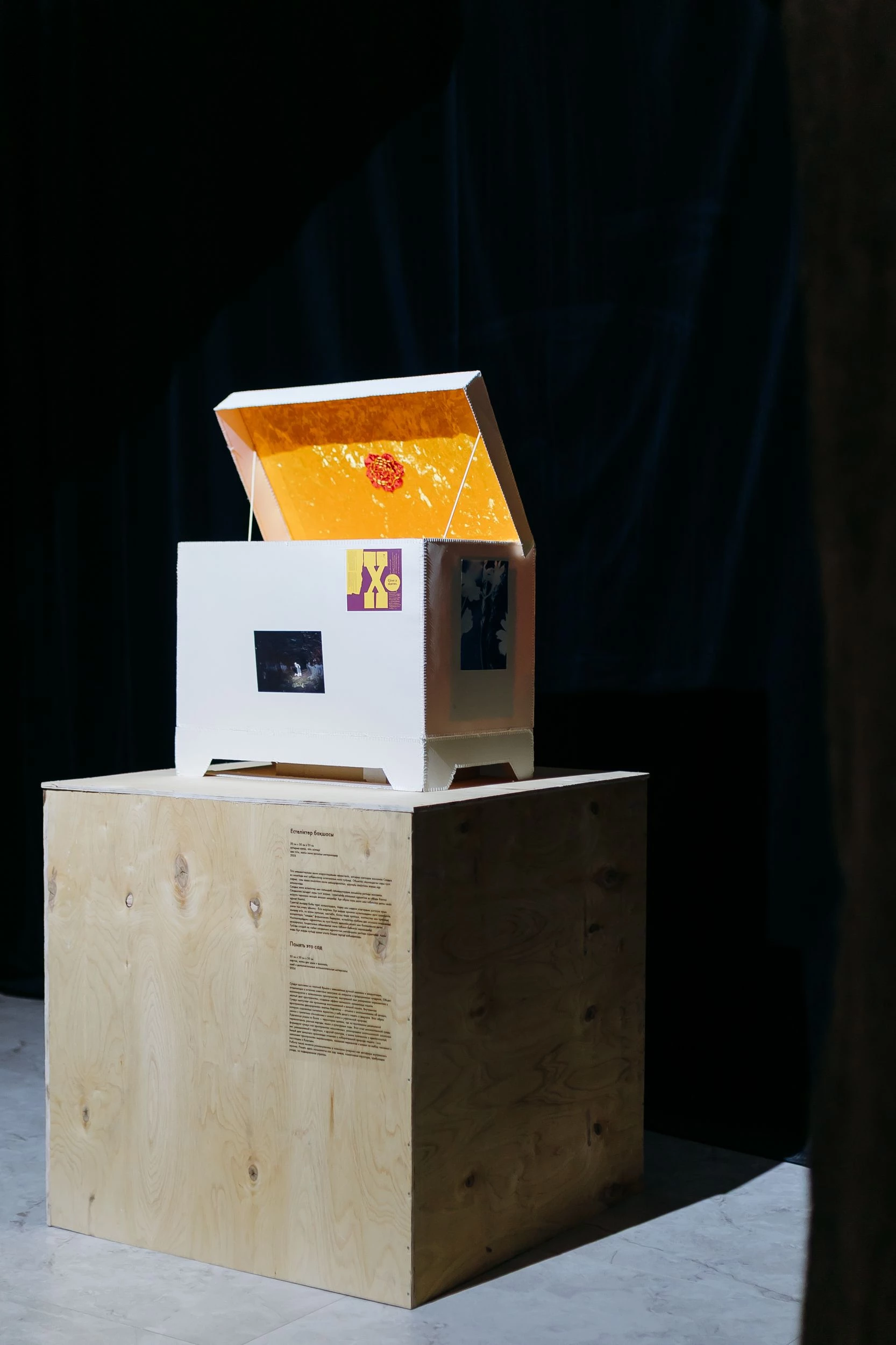 Иммерсив, колыбель и коллективная память: как прошла первая выставка Асель Есжановой в Астане